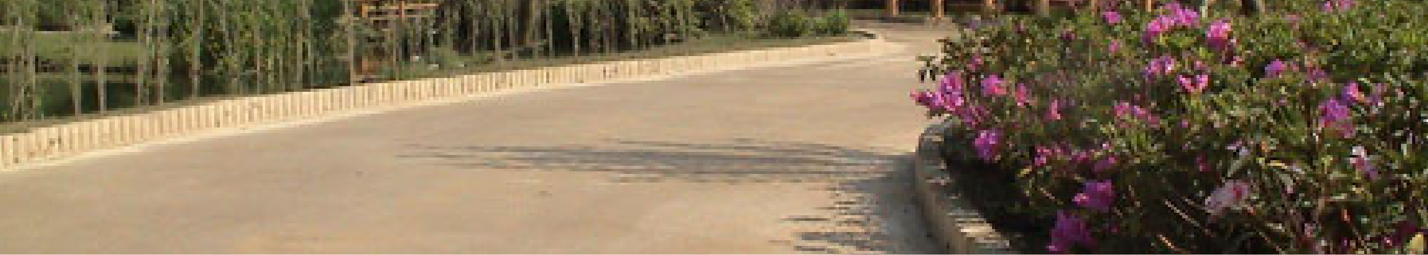 エコロジー舗装 土舗装